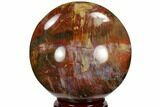 Colorful Petrified Wood Sphere - Madagascar #120749-2